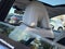 2024 Nissan Ariya EVOLVE+ e-4ORCE EV Certified