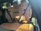 2026 MINI Cooper S Countryman Iconic ALL4