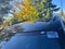 2026 MINI Cooper S Countryman Iconic